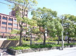 阪南大学 本キャンパス 