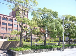 阪南大学